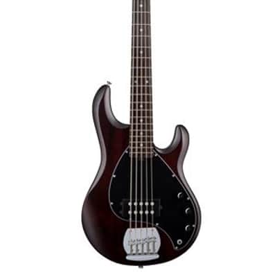 Sterling SUB StingRay 5 Bass Guitar Walnut Satin image 1