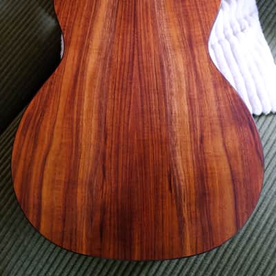 Taylor 724ce 2022 - Present - Natural image 4