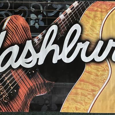 Washburn Dealer Banner for Washburn Guitars image 2