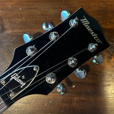 Joe Petruccio hand painted Maestro by Gibson Les Paul Junior image 3