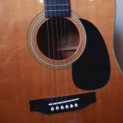Ibanez Vintage 981 - 1976/1977 - Natural - Spruce Mahogany Acoustic Guitar image 9
