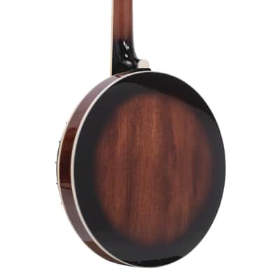 Gold Tone PS-250: Plectrum Special Banjo with Case image 9