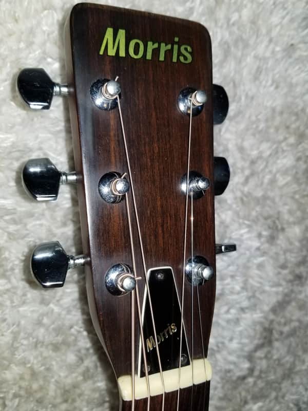 Morris F-18 in 1975 | Reverb