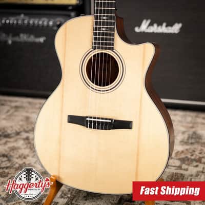 Taylor 314ce-N Nylon Grand Auditorium Acoustic/Electric Guitar with Hardshell Case image 1