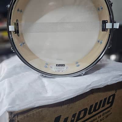 Ludwig Classic Maple 2026 - Vintage Black Oyster image 12