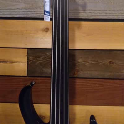 Ibanez - SDGB1 | Steve Di Giorgio Signature Series 5 String Bass / Dark Moss Burst image 3