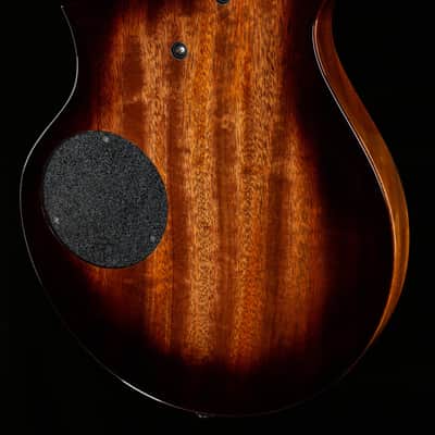 Rick Turner Model T Bass Anigre Top Bass Guitar-5623-8.50 lbs image 2
