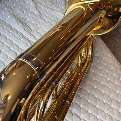 Andreas Eastman EBB-231 3/4 Tuba Rolling Cade and Moc image 15