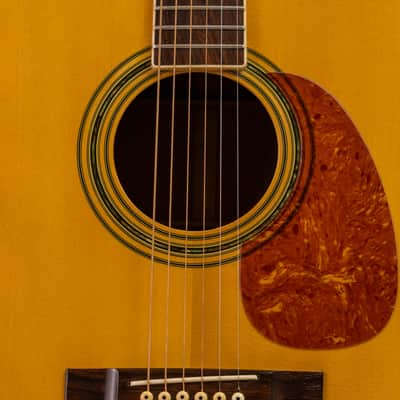 Daion YD-35 Acoustic Six String (built by Yamaki) image 5
