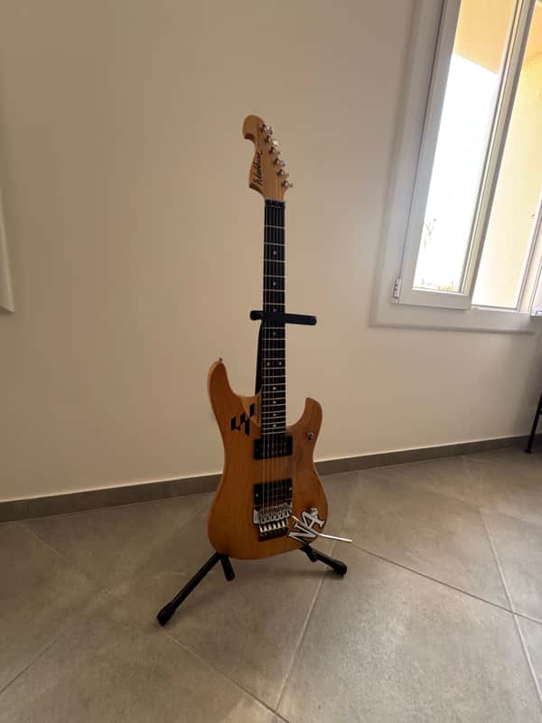 Washburn N4