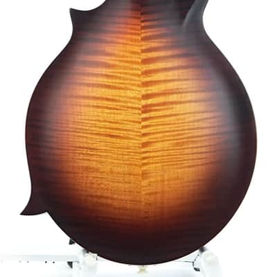 Gibson Sierra Hull F5G VOS Varnish image 4