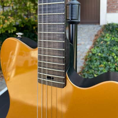 Tao Guitars T-Bucket 2022 - Gold/ Black image 9