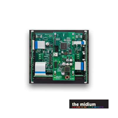 Strymon Magneto four head dTape echo & looper module image 3