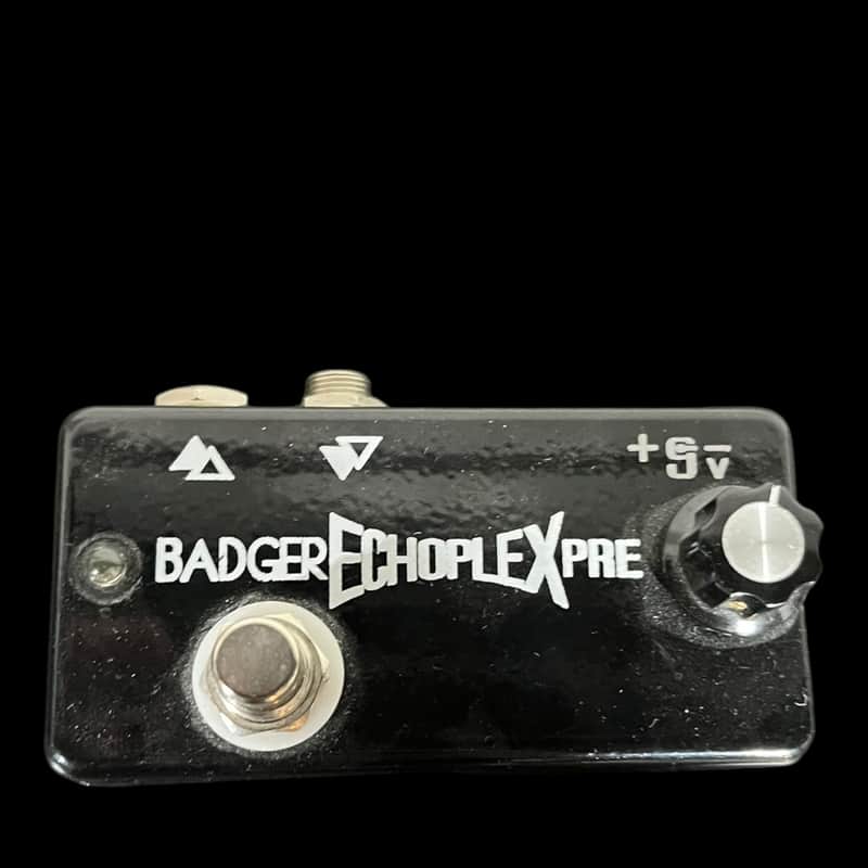 Badger Echoplex PRE Prototype x231 image 1