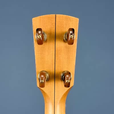 Rickard 12" Cherry Little Wonder Banjo with Antiqued Brass Hardware image 17