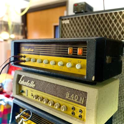 Klemt Echolette BS-40 tube guitar bass amplifier c 1965 - GOLD original vintage valve amp image 3