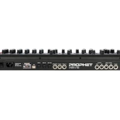 Sequential Prophet Rev2 8-Voice Analog Synthesizer Desktop Module image 2