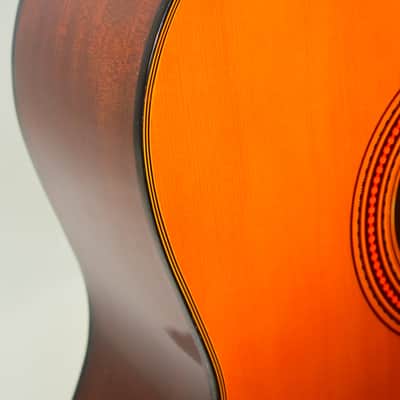 D. Catala Guitarras GO-50 Classical Acoustic Guitar w/ Hardshell Case image 5
