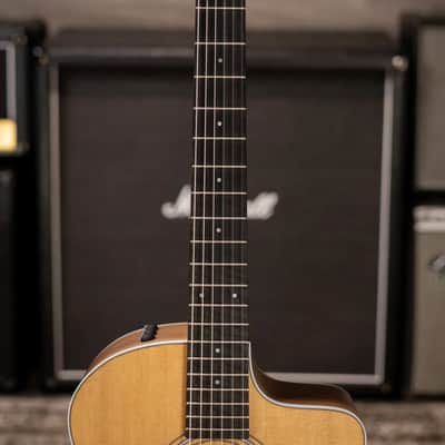 Taylor 214ce-N Nylon Grand Auditorium Acoustic/Electric Guitar with Gig Bag image 4