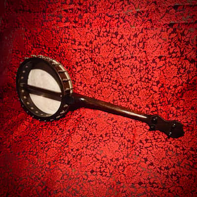 Rare 1920s Washburn Tenor Banjo Style E image 16