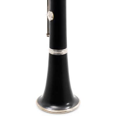 Buffet Crampon R13 Professional Bb Clarinet in Grenadilla SN F499157 image 9