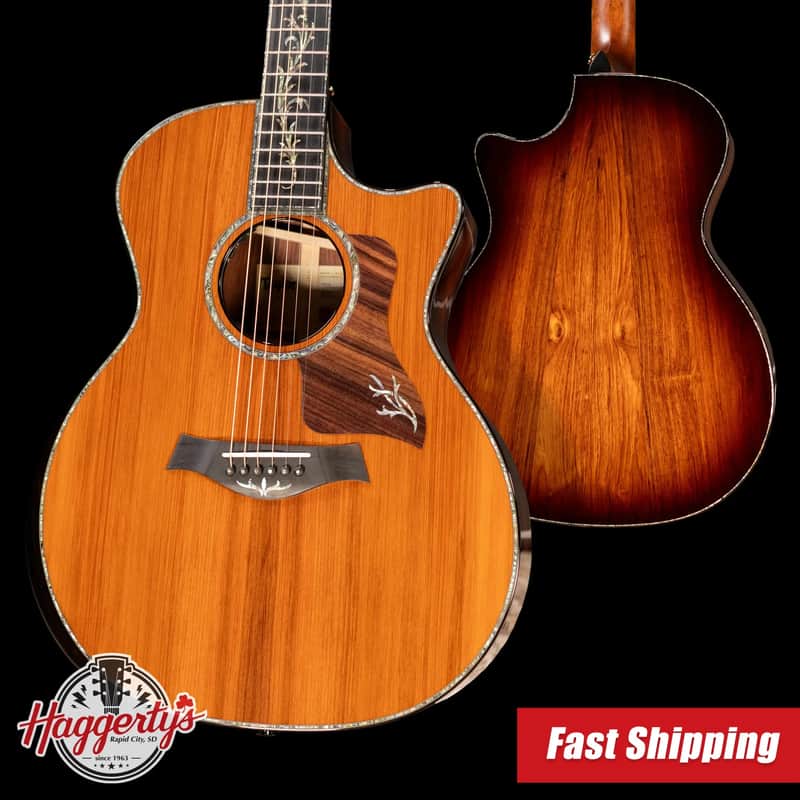 Taylor Next Generation PS14ce Presentation Series Grand Auditorium Acoustic/Electric Guitar - Honduran Rosewood/Sinker Redwood with Hardshell Case image 1