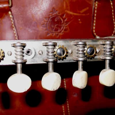 HARMONY STELLA 12 string guitar image 7