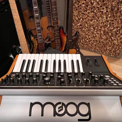 Moog Subsequent 25 Analog Synth 2020 - Present Black Bild 12
