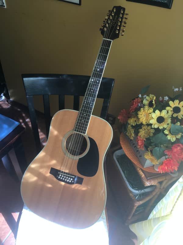 Takamine 12 string, Japan image 1