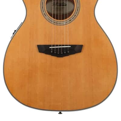 D'Angelico Premier Tammany - Vintage Natural image 2