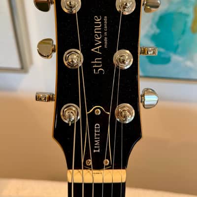 Godin limited Edition 5th Ave. Uptown with custom color and factory installed Bigsby. image 3