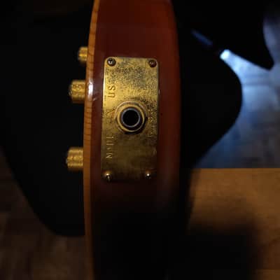 Carvin bass AC 50, 5 cordes, semi-hollow image 8