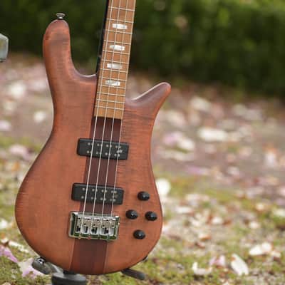 Spector Euro 4 RST - Sienna Stain Matte image 3