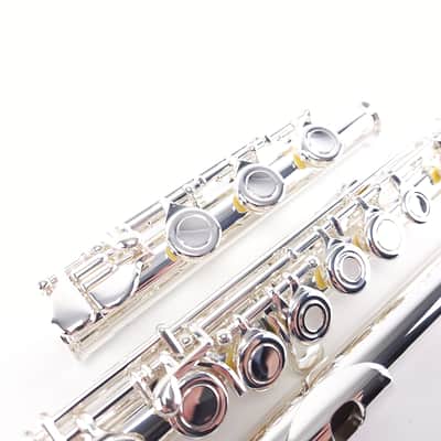 Di Zhao DZ 401 E Flute Open Hole B Foot Split E Silver Lip Intermediate NEW image 9