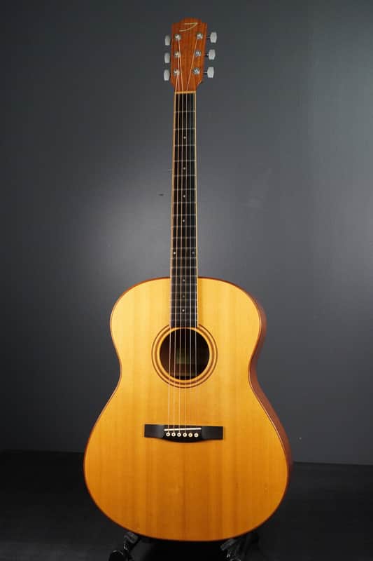 Thompson TM-1 1996 - Natural image 1