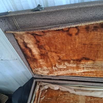 Fender Brown tolex 1960s - Brown image 5
