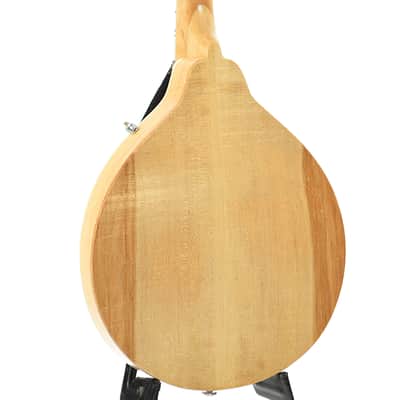 Jordan L. Buck A-Style Kit Mandolin (2024) image 11