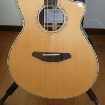 Breedlove Stage Concert image 1