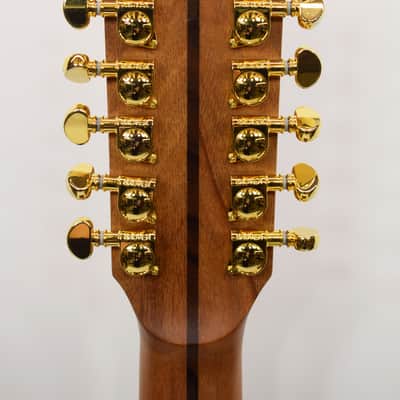 Zager Easy Play ZAD-900CE-12 12-String Acoustic/Electric Guitar image 7