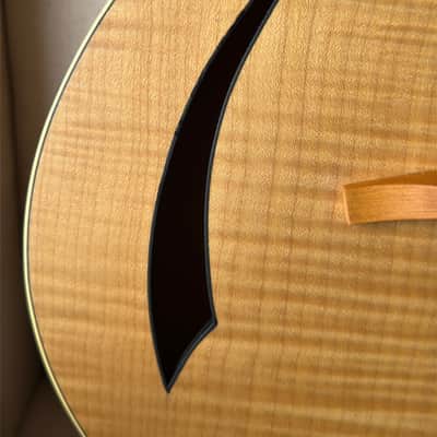 Island Instruments DelAir Headless Fan Fret Multi Scale Archtop Hollowbody image 7