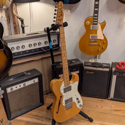Fender Telecaster Thinline 1973 - Natural image 4