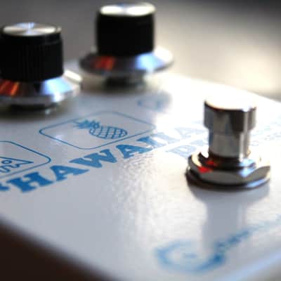 CAROLINE  "Hawaiian Pizza Fuzz" image 5