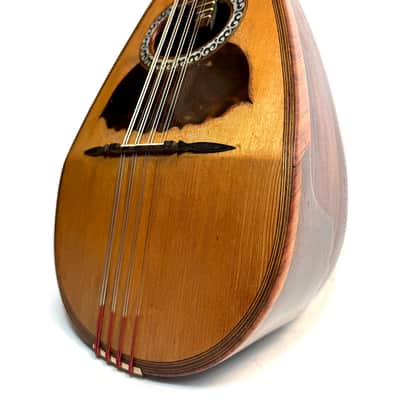 Mandoline de Concert Luigi Tamagno de 1904 image 3