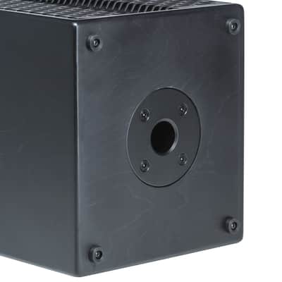 Acus OneForstrings 5 Ferdi Blackwood - Acoustic Guitar Amp image 7