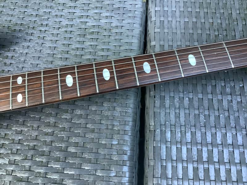 Custom Alembic copy / made in Japan / vintage 70's / ALEMBIC style