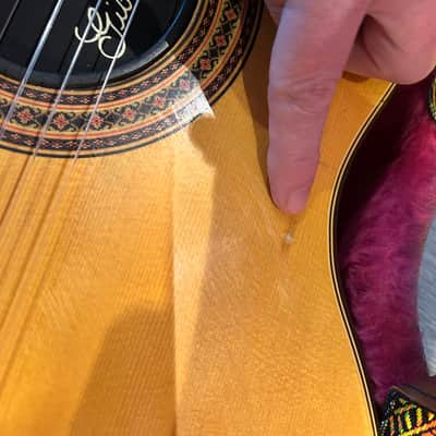 Gibson Chet Atkins CE 1994 image 14