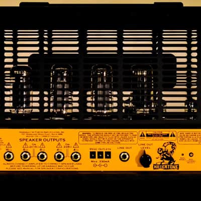 Fortin Amplification Evil Pumpkin Head image 3