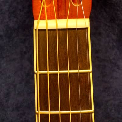 National Reso-Phonic M1 Tricone 12-String 2024 Mahogany Bild 3