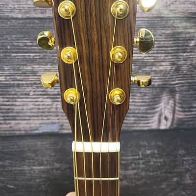 Zager ZAD9000MCE Acoustic Electric Guitar (San Antonio, TX) image 5