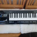 Roland AX-09 Lucina 37-Key Keytar Synthesizer 2010 - 2012 - Black